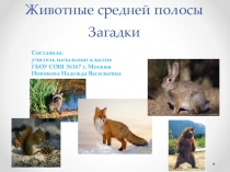 Презентация Животные средней полосы