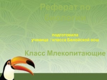 Реферат по биологии на тему Млекопитающие