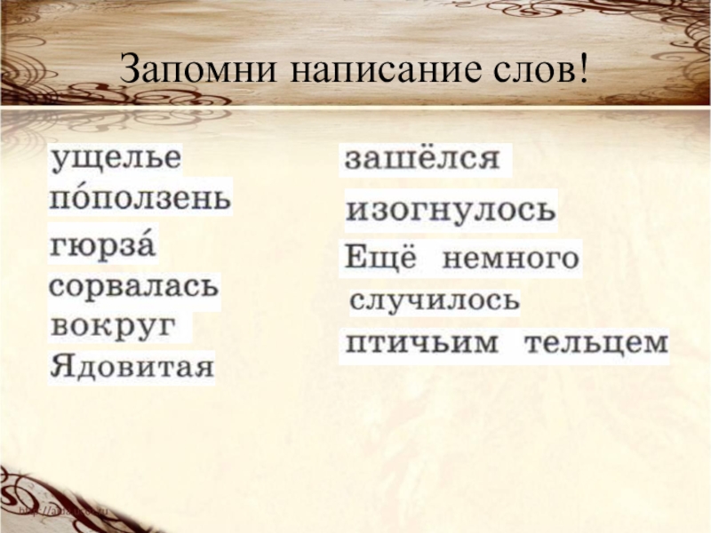 Запомни написание слов. Поползень и Гюрза изложение 4 класс. Изложение поползень. Поползень изложение 4 класс презентация. Изложение Гюрза.