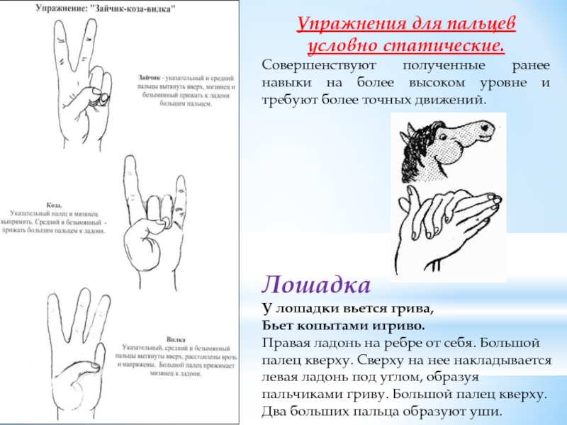 Мелкая моторика для пожилых людей упражнения в картинках