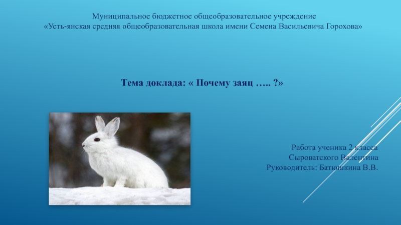Как назвать зайца. Опыт почему заяц зимой белый. Сообщения для начальной школы на тему заяц. Презентация адаптация зайца. Презентация по теме почему зая Белеет.