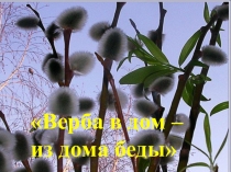 Презентация Верба в дом-из дома беды