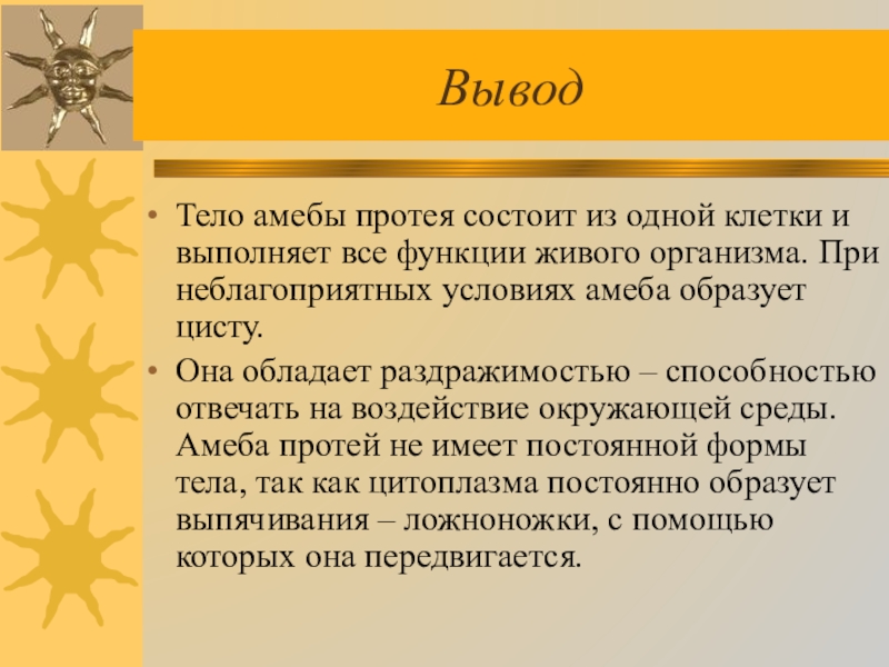 Вывод тела. Циста. Простейшие вывод. Цисты протистов выполняют функции. Циста функции.