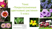 Открытый урок в 5 классе.Покрытосеменные растения