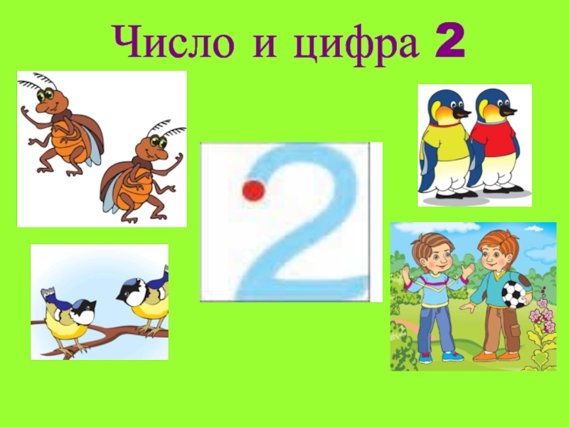 Число 2 и цифра 2 презентация для