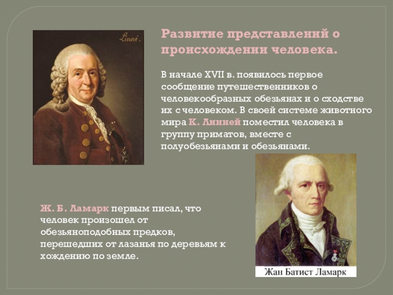 Представления о происхождении человека. И кант представление о происхождении человека. Развитие представлений о происхождении человека. Радищев представление о происхождении человека.