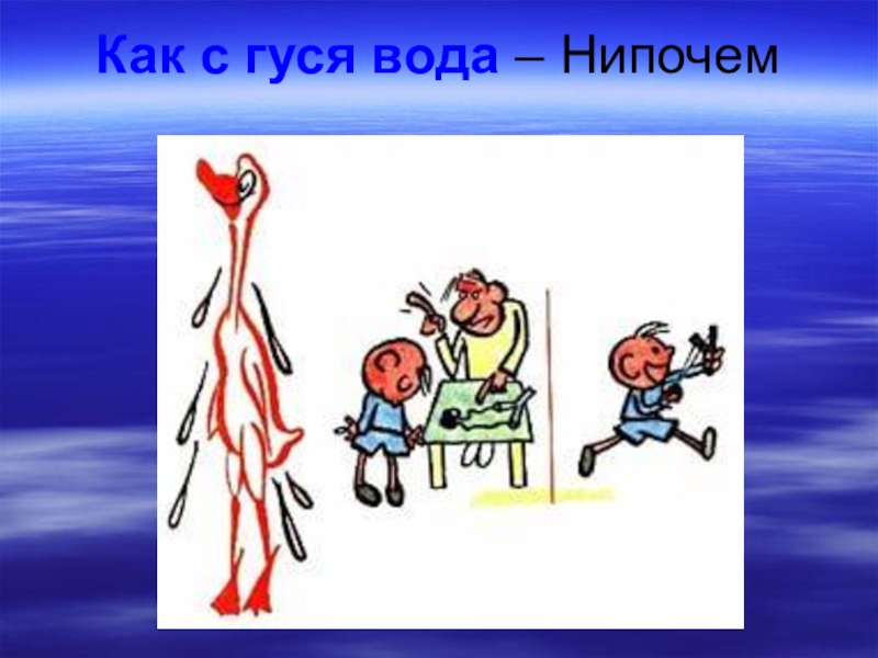 Значение фразеологизма водой. Как с гуся вода фразеологизм. Картинка к фразеологизму как с гуся вода. Вразелогозим 