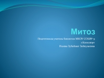 Презентация Деление клетки. Митоз