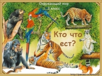 Презентация по окружающему миру в 3 классе на тему Кто что ест.Цепь питания.