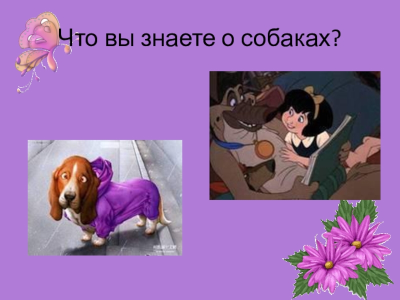 План дымка и антон