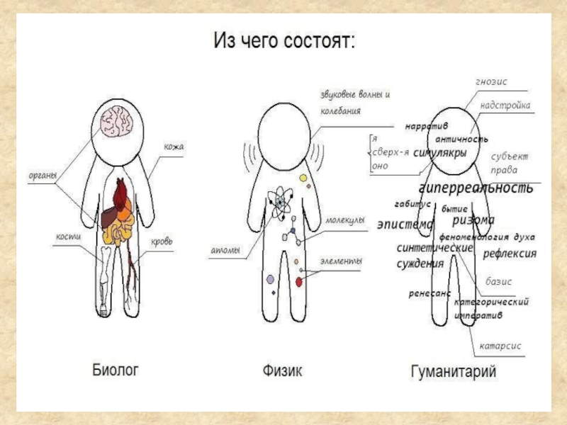 Из чего состоит 20. Внутренний мир гуманитария. Из чего состоит гуманитарий. Из чего состоят биолог физик гуманитарий. Из чего состоит человек физика.