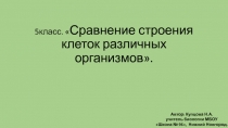Презентация: Сравнение строения клеток различных организмов.
