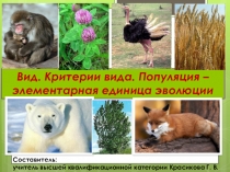 Презентация по биологии 11 класс по теме Вид. Критерии вида