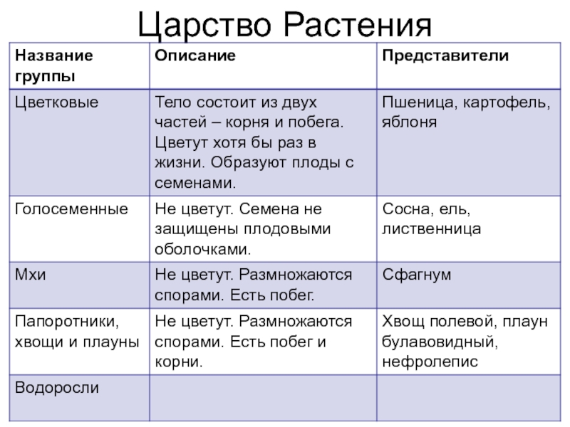 Презентация растения 5 класс биология пономарева