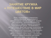 Презентация Путешествие в мир цветов