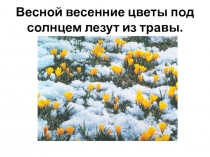 Презентация. Развитие памяти учащихся на уроках литературного чтения. Учим стихи легко и быстро! Всё жарче солнышка лучи