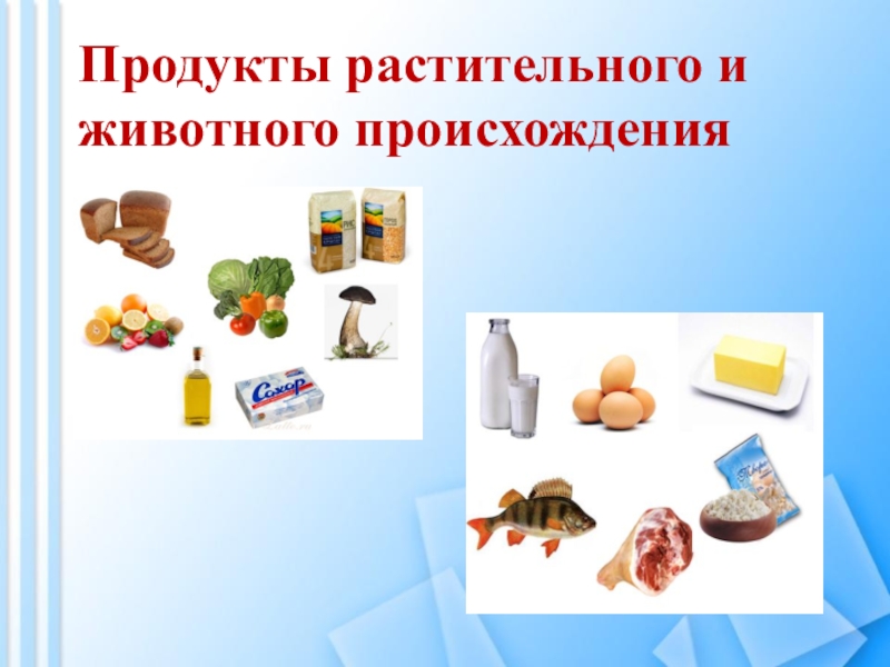 Продукты растительного происхождения