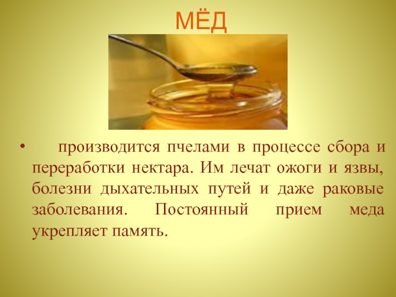 Сколько делать мед. Процесс переработки нектара в мед пчелами. Как делают мед. Пчела процесс собирания меда. Лечение медом.