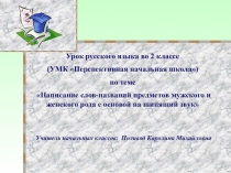 Написание слов-названий предметов мужского и женского рода с основой на шипящий звук 2 класс УМК Перспективная начальная школа