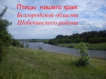 ЭОР по окружающему миру на тему Птицы Белгородской области