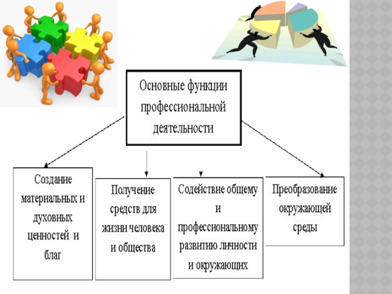 Категории профессиональной деятельности