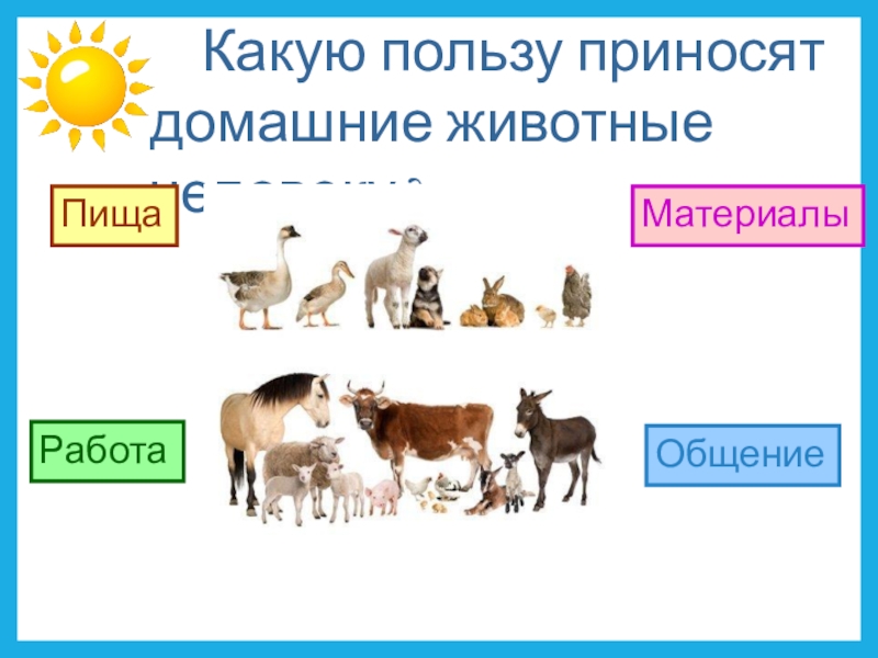 Как с помощью модели показать. Модель домашних животных для человека. Значение домашних животных для человека. Модель значение домашних животных для человека. Животные которые приносят пользу.