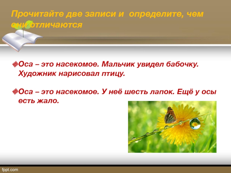 Оса текст. Оса это насекомое мальчик увидел бабочку художник нарисовал птицу. Мальчик увидел бабочку.