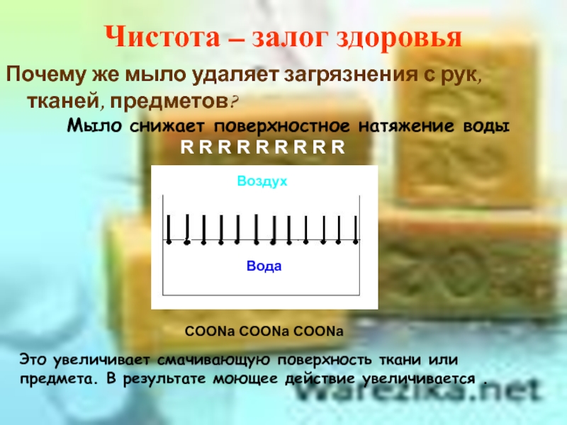 молекула мыла. почему нельзя мыть лицо мылом. почему мыло моет презентация. механизм действия мыла на молекулы жира. почему мыло моет.