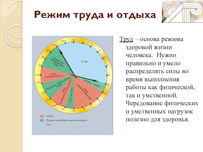 Режим отдыха. Режим труда и отдыха. Режим труда и отдыха человека. Виды режимов труда и отдыха. Значение режима труда и отдыха человека.