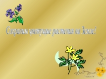 Растения - первоцветы