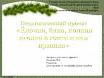 Презентация педагогического проекта Елочка, елка ,колкая иголка в гости к нам пришла