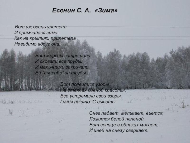 Зимнее стихотворение есенина. Стихотворение Есенина зима. Стихи Есенина о зиме. Есенин стихи о зиме.