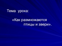 Презентация по окружающему миру Размножение птиц и зверей (3 класс)