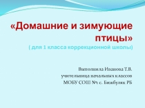 Презентация Домашние и зимующие птицы (для 1 класса коррекционной школы)