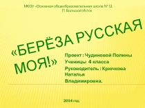 Презентация Береза по окружающему миру
