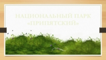 Презентация по биологии Национальный парк Припяцкий
