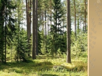 Презентация к уроку по русскому языку по теме Глагол.