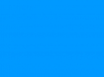 Презентация к открытому уроку на темуЛишайники