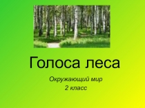 Презентация к уроку ИЗО Птицы в лесу