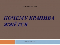 Проектная работа по окружающему миру Почему крапива жжется