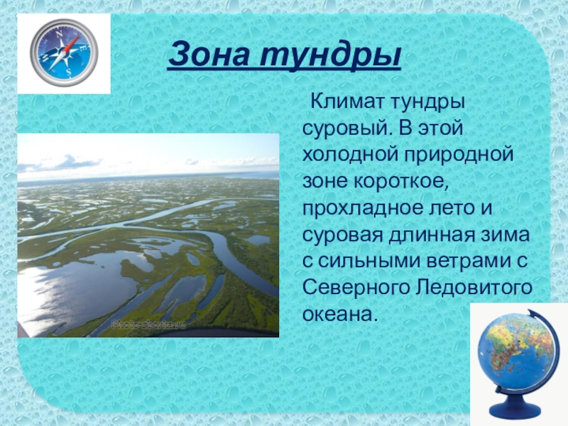 Зона тундры Климат тундры суровый. В этой холодной природной зоне короткое, прохладное лето и суровая