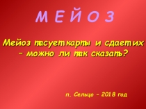 Презентация по биологии на тему Мейоз