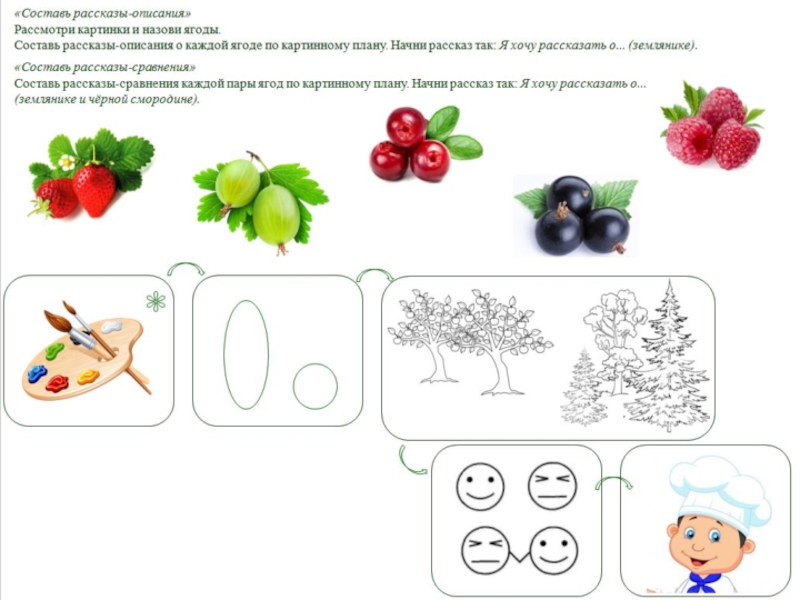 Схема фруктов и овощей и фруктов