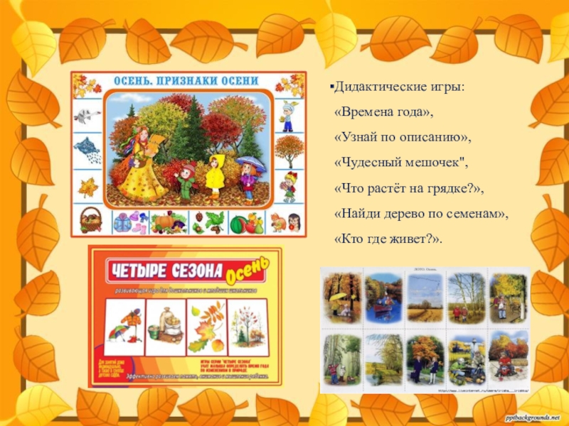 Приметы осени для детей. Признаки осени. Признаки осени для детей. Осень признаки осени. Назови признаки осени.