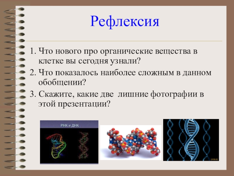 Органические вещества клетки белки. Органические соединения клетки. Органические вещества клетки. Органические вещества клетки презентация. Органические вещества клетки биология.