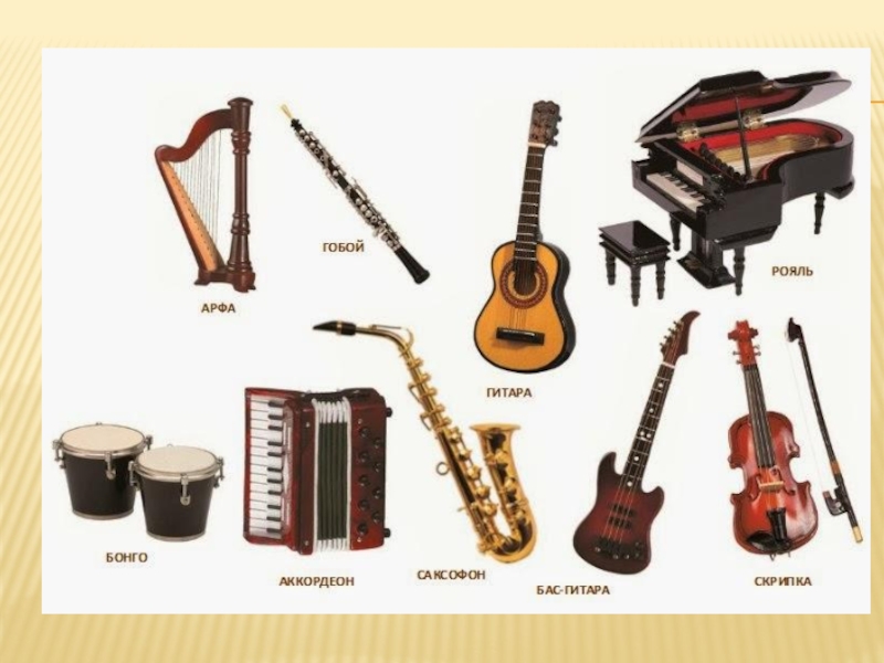 5 musical instruments