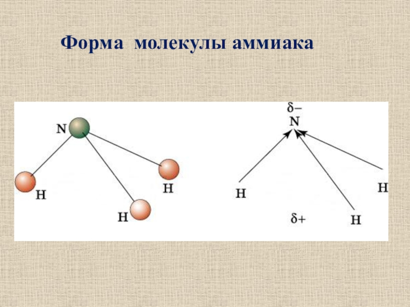 Молекулярная форма. Схема построения молекул аммиака. Формы молекул. Молекула аммиака. Особенности строения молекулы аммиака.