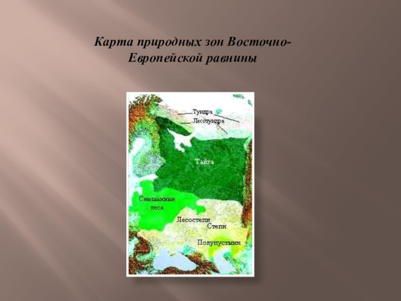 Положение восточно европейской равнины в природных зонах. Природные зоны России Восточно европейская равнина. Границы природных зон Восточно-европейской равнины. Природные зоны Восточно европейской равнины на карте. Границы природные зоны Восточно-европейской равнины на карте.