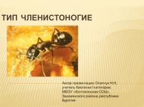 Презентация по биологии на тему Тип Членистоногие. Общая характеристика (7 класс)