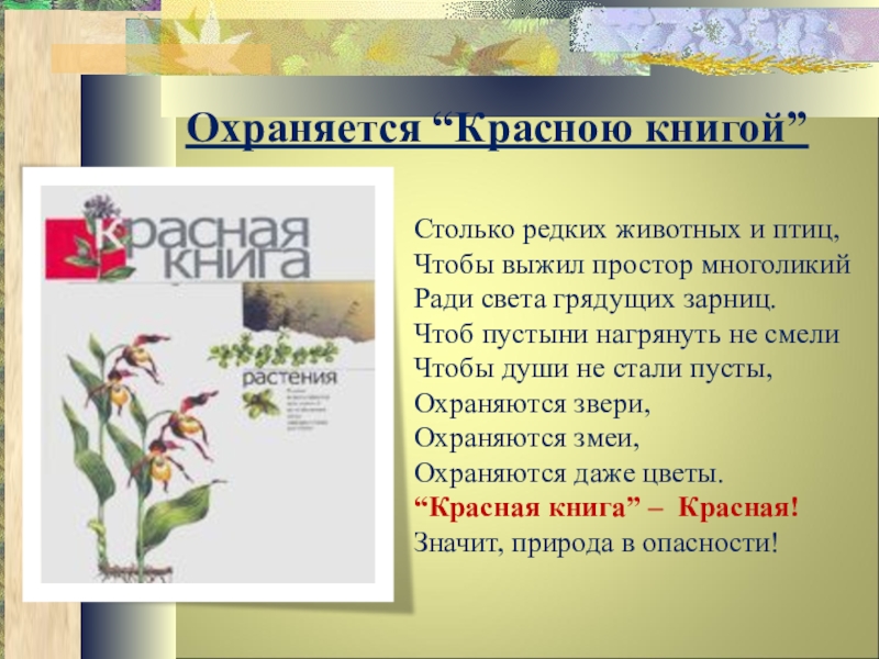 Красная книга рабочий лист. Стих охраняется красною книгой столько редких животных и птиц.